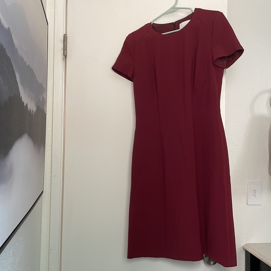 Boss Burgundy Dress Size 6